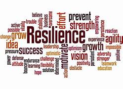 Building Resilience Skills: Navigating Life’s Challenges with Strength and Adaptability